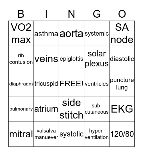 respiratory & cardiovascular systems Bingo Card