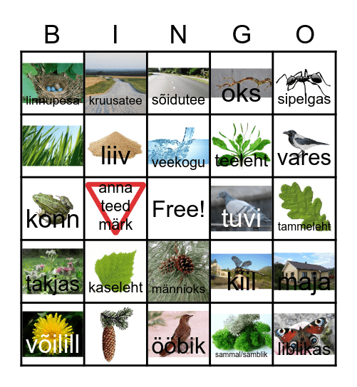 LOODUSE Bingo Card