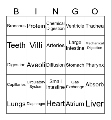 Human Body Systems Bingo Card