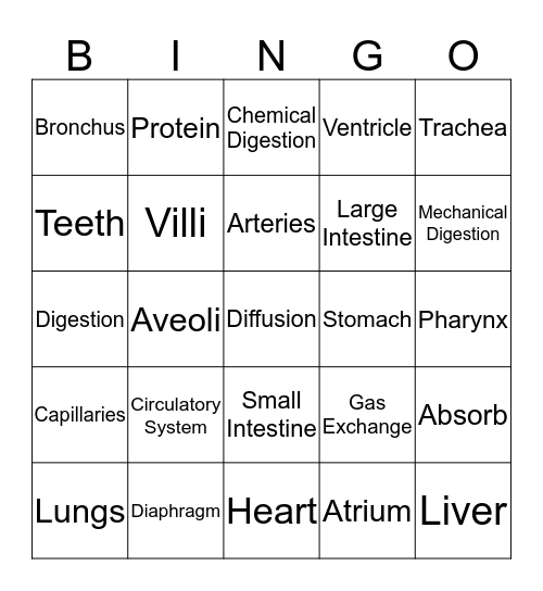 Human Body Systems Bingo Card