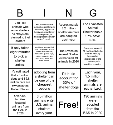 Animal Shelter Bingo! Bingo Card
