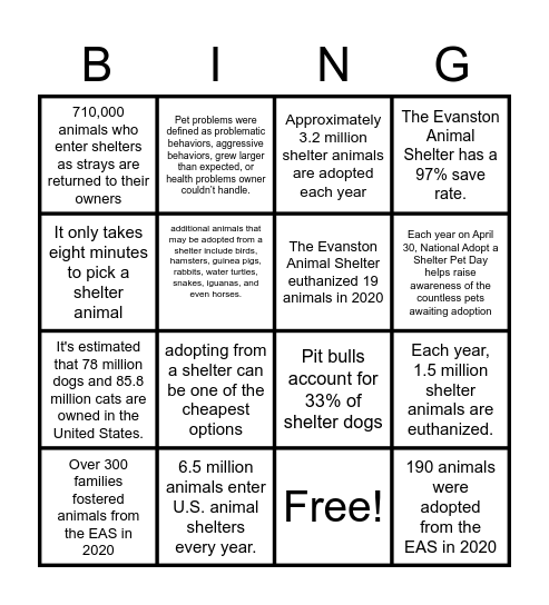 Animal Shelter Bingo! Bingo Card