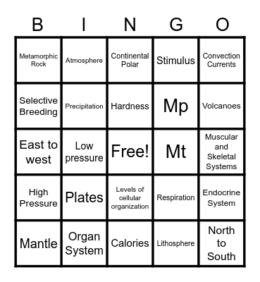 8th Grade Science Final Review Bingo Card