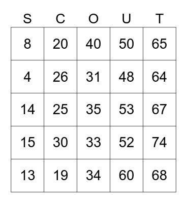 SCOUT Bingo Card