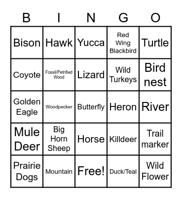 North Dakota and South Dakota Bingo Card
