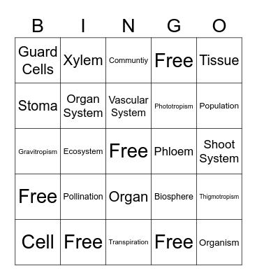 Plant Bingo Card