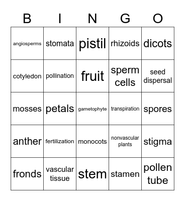 Plant Structures and Functions Bingo Card