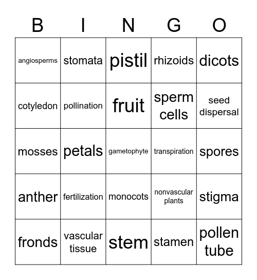 Plant Structures and Functions Bingo Card