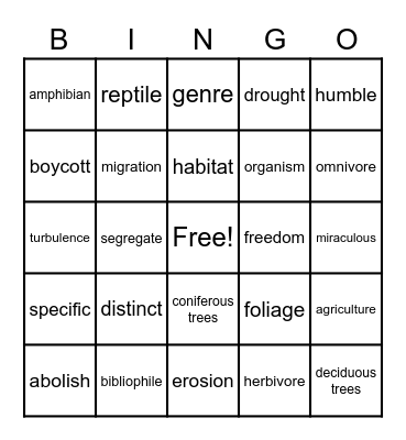 Vocabulary BINGO Card