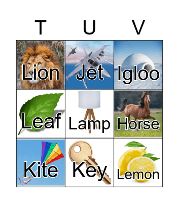 Phonics Vocab H-L Bingo Card