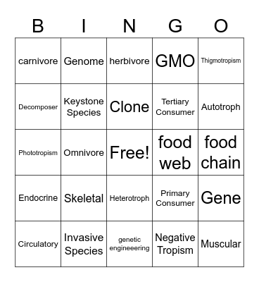 Trimester Review I Bingo Card