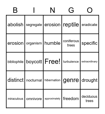 Vocabulary Bingo Card