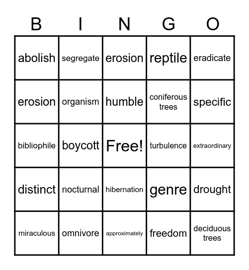 Vocabulary Bingo Card