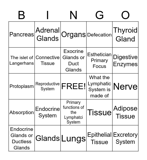 Endocrine & Reproductive Systems Bingo Card