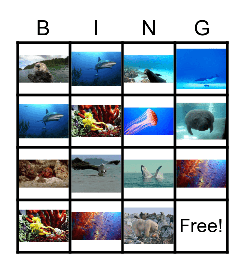 Marine Bingo! Bingo Card