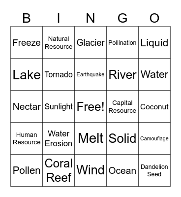 Science Bingo Card