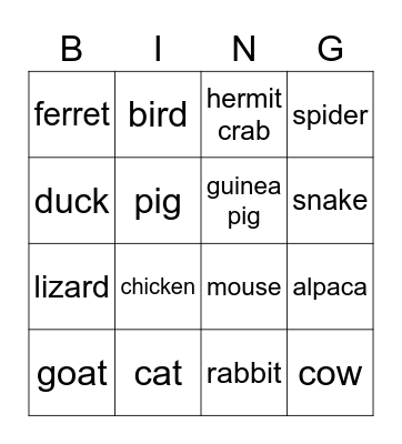 Pets in Japanese Bingo Card