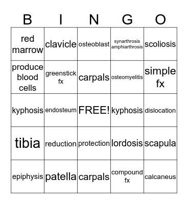 Skeletal System Bingo Card