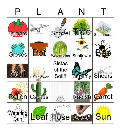 Sistas of the Soil 2021 #2 Bingo Card