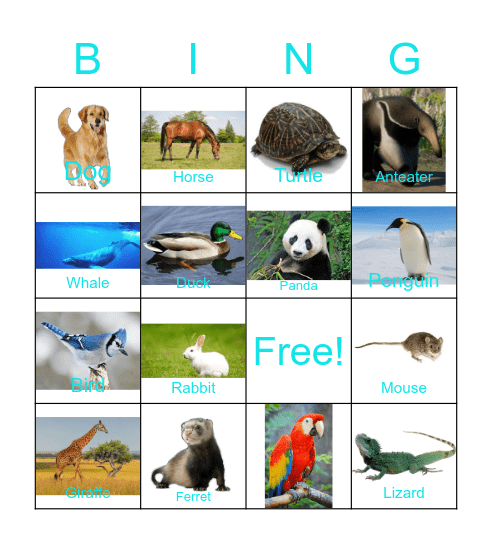 Animal BINGO Card