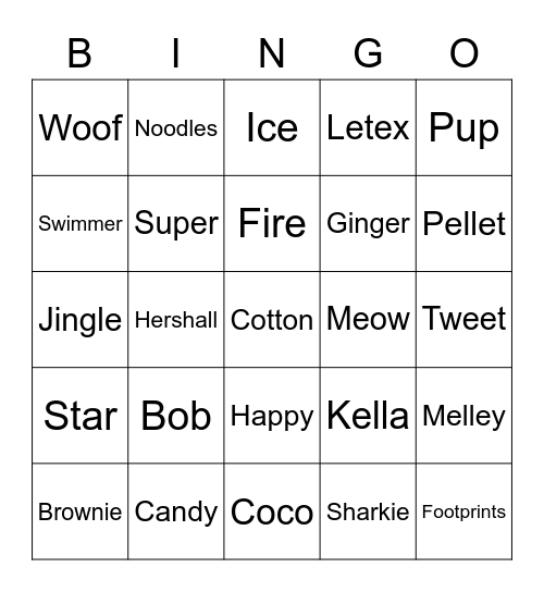 Pet Names Bingo Card