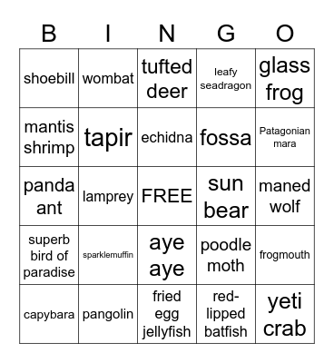 Unusual Animals Bingo Card