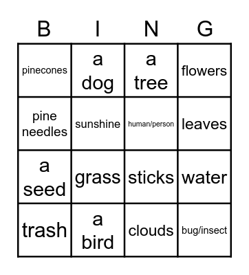 I saw  ______ on our nature walk. Bingo Card