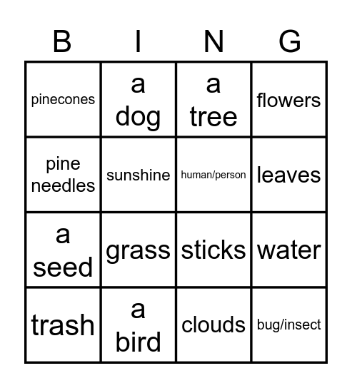 I saw  ______ on our nature walk. Bingo Card