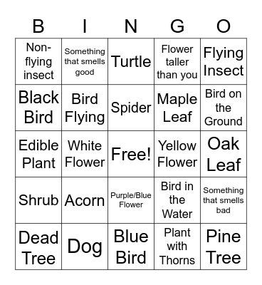 Nature Hike Bingo Card