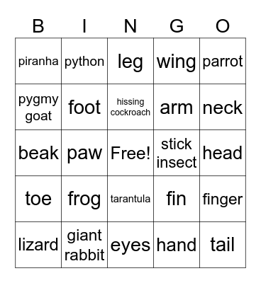 Animals and parts of the body Bingo Card