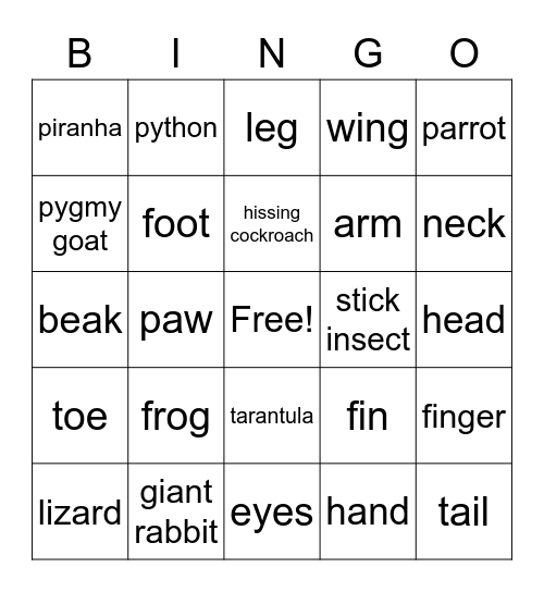 Animals and parts of the body Bingo Card