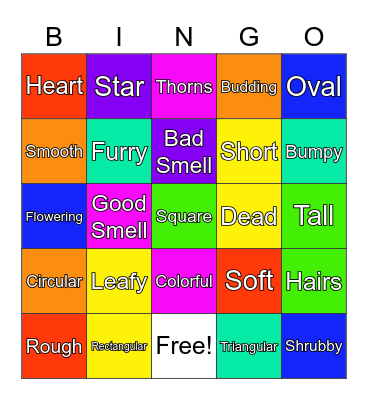 Plant Bingo Card