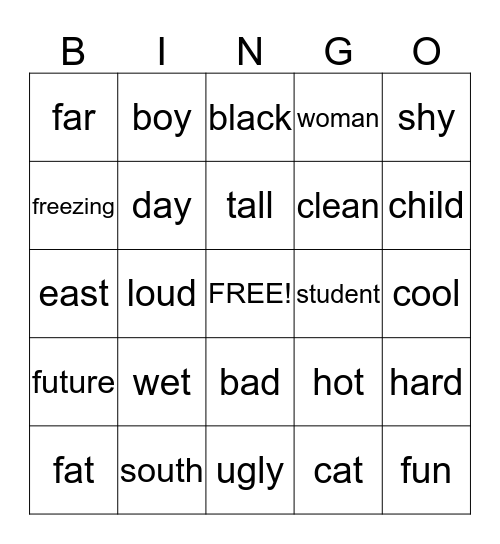 Opposites Bingo Card