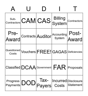 Audit Bingo Card