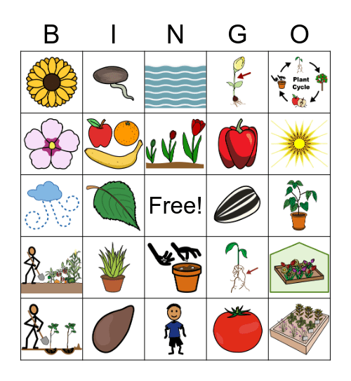 Plants Bingo Card