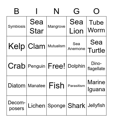 Marine Biology Bingo Card