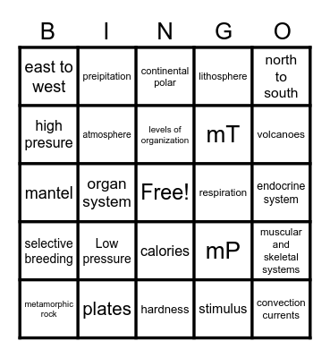 8th Grade Final Review Bingo Card