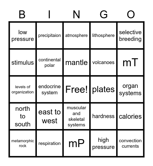 8th Grade Science Final Bingo Card