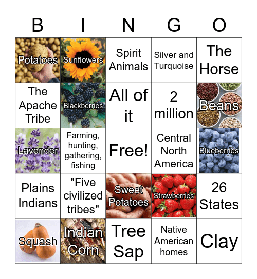 American Indian Bingo Card