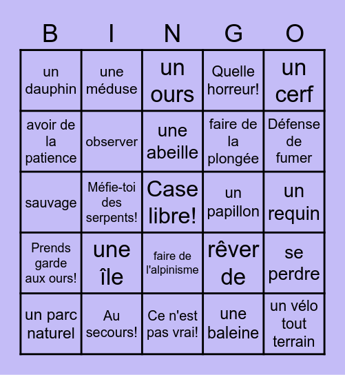 3.4 Au grand air! Bingo Card