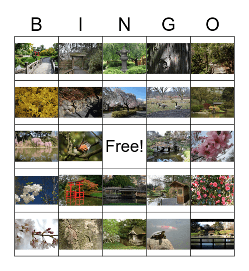 Japanese Hill-and-Pond Garden Bingo Card