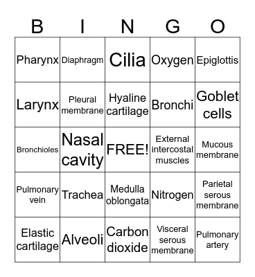Respiratory System Bingo Card