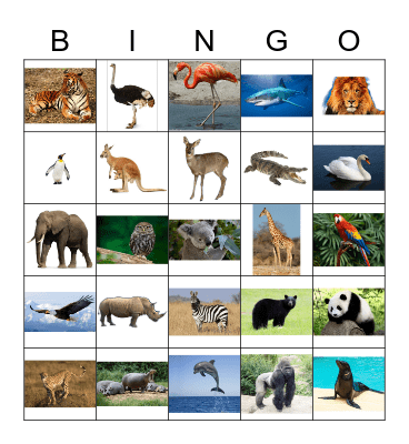 Animals (pictures) Bingo Card