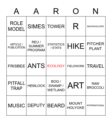 Let's Play Aaron BINGO! Bingo Card