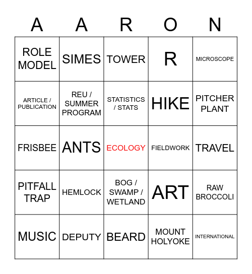 Let's Play Aaron BINGO! Bingo Card