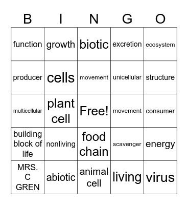 Unit 2 -Eur-Zika Bingo Card