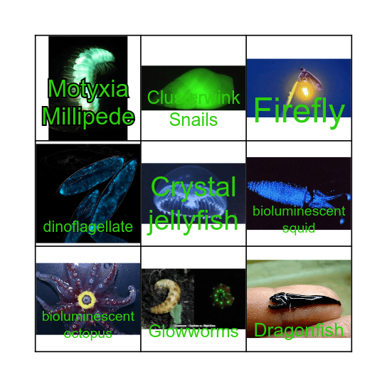 Glowing Nature Bingo Card