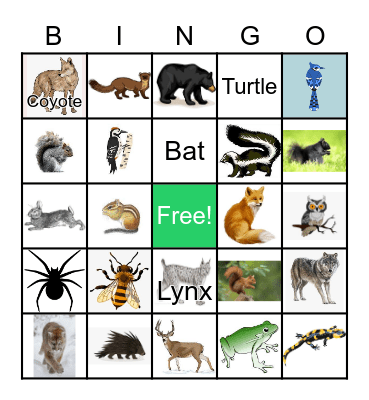 Cabin Bingo Card
