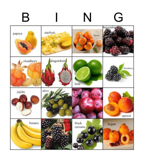 FRUIT Bingo Card