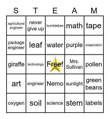 STEAM Bingo Card